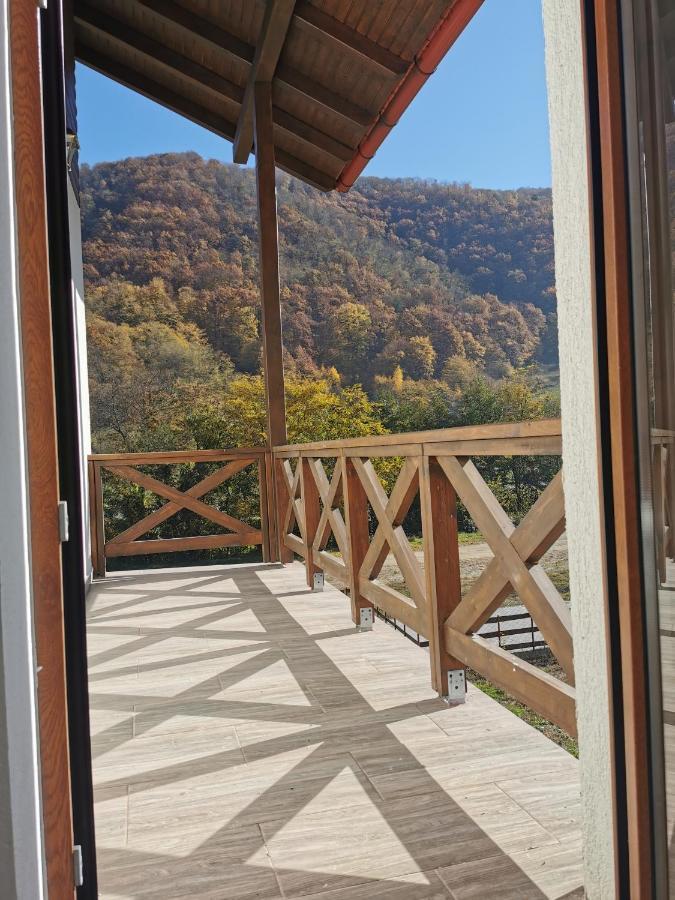 Pensiunea La Nenea Iancu Pianu de Sus Екстер'єр фото